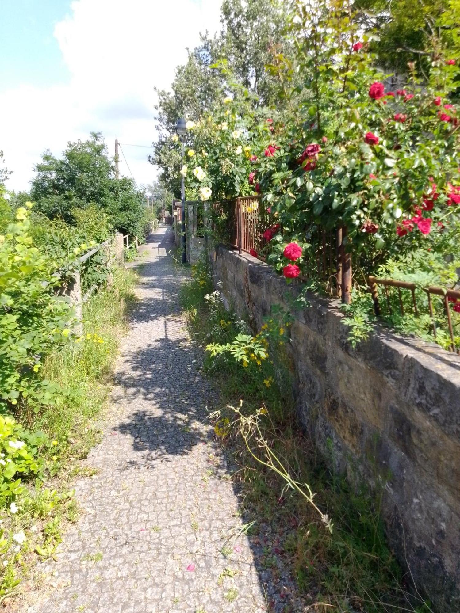 Dresden-Entspannung-Natur-Trifft-2-Staedte-Am-Fluss Exterior photo